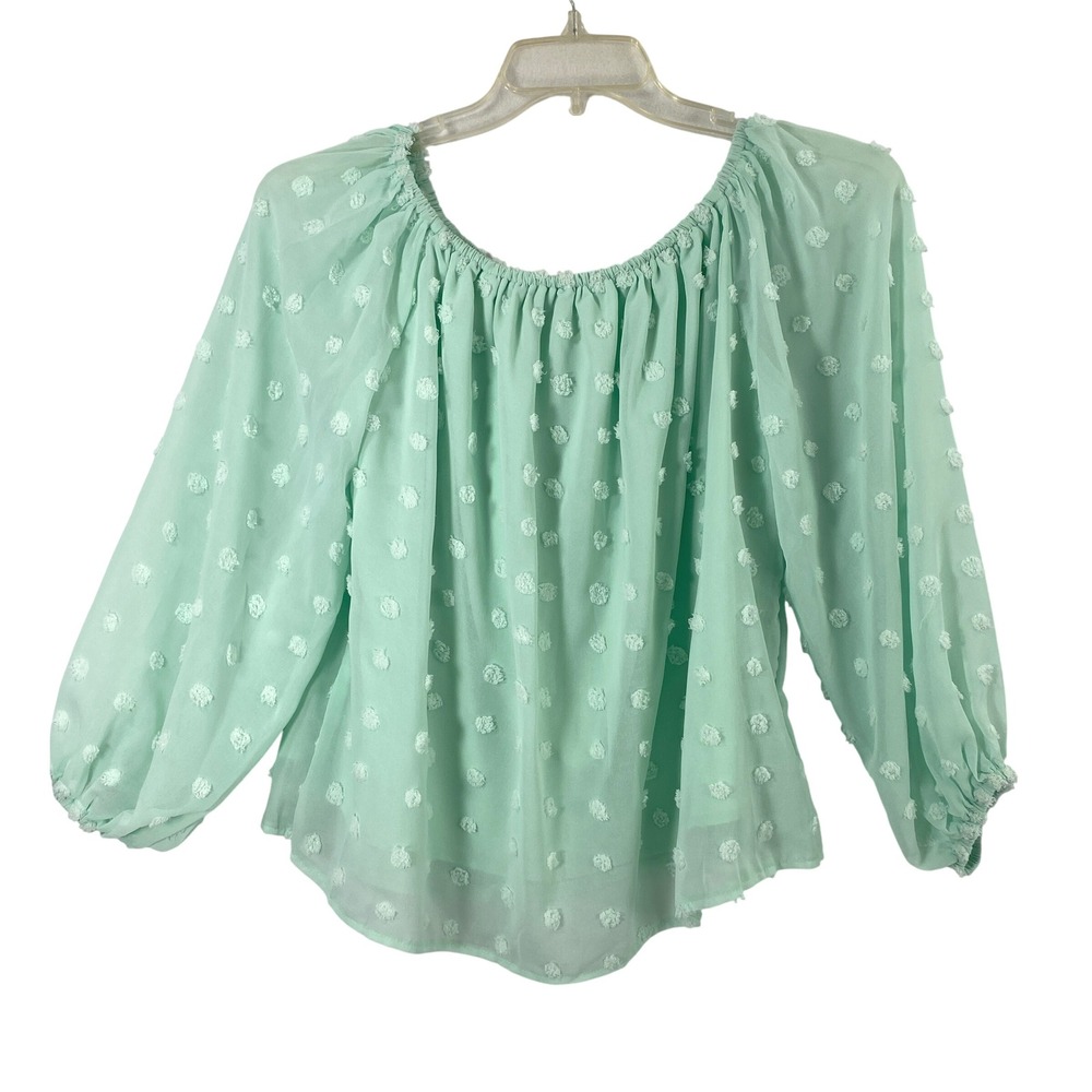 Miss Sparkling Mint‎ Green Swiss Dot Blouse Womens Small Sheer Long Sleeve Top